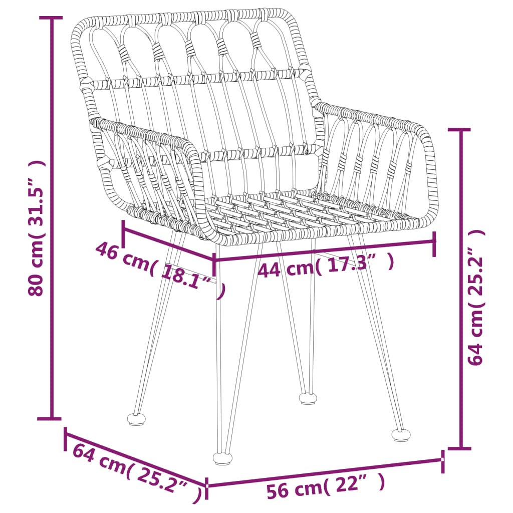 vidaXL Garden Chairs 2 pcs with Armrest Black 56x64x80 cm PE Rattan