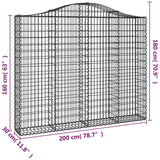 Arched Gabion Baskets 13 pcs 200x30x160/180 cm Galvanised Iron