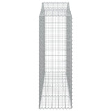 Arched Gabion Baskets 20 pcs 200x50x140/160 cm Galvanised Iron
