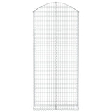 Arched Gabion Basket 100x30x220/240 cm Galvanised Iron