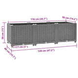 Raised Bed 120x40x38 cm Polypropylene