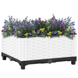 Raised Bed 40x40x23 cm Polypropylene