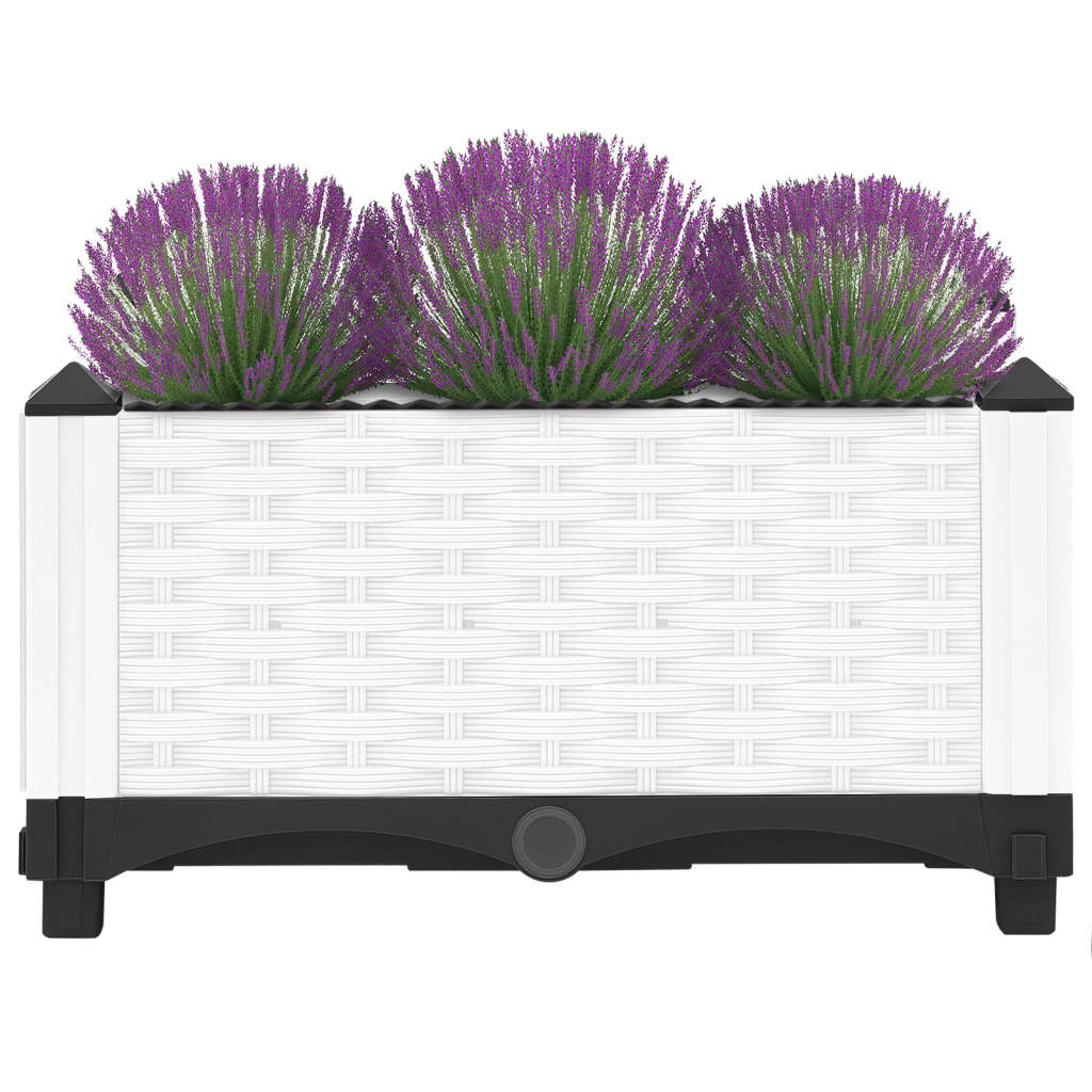 Raised Bed 40x40x23 cm Polypropylene