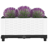 Raised Bed 40x40x23 cm Polypropylene