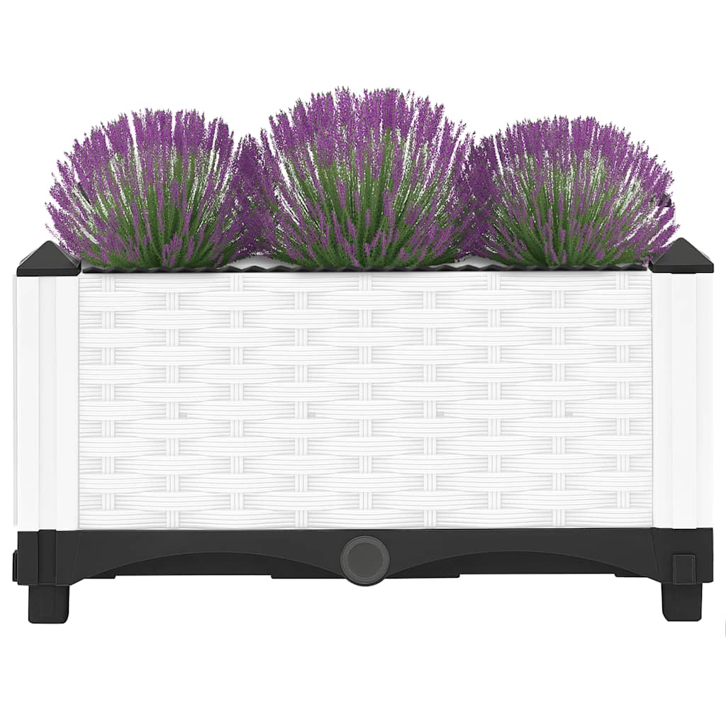 Raised Bed 40x40x23 cm Polypropylene