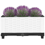 Raised Bed 40x40x23 cm Polypropylene