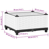 Raised Bed 40x40x23 cm Polypropylene