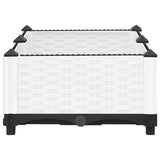 Raised Bed 80x40x23 cm Polypropylene