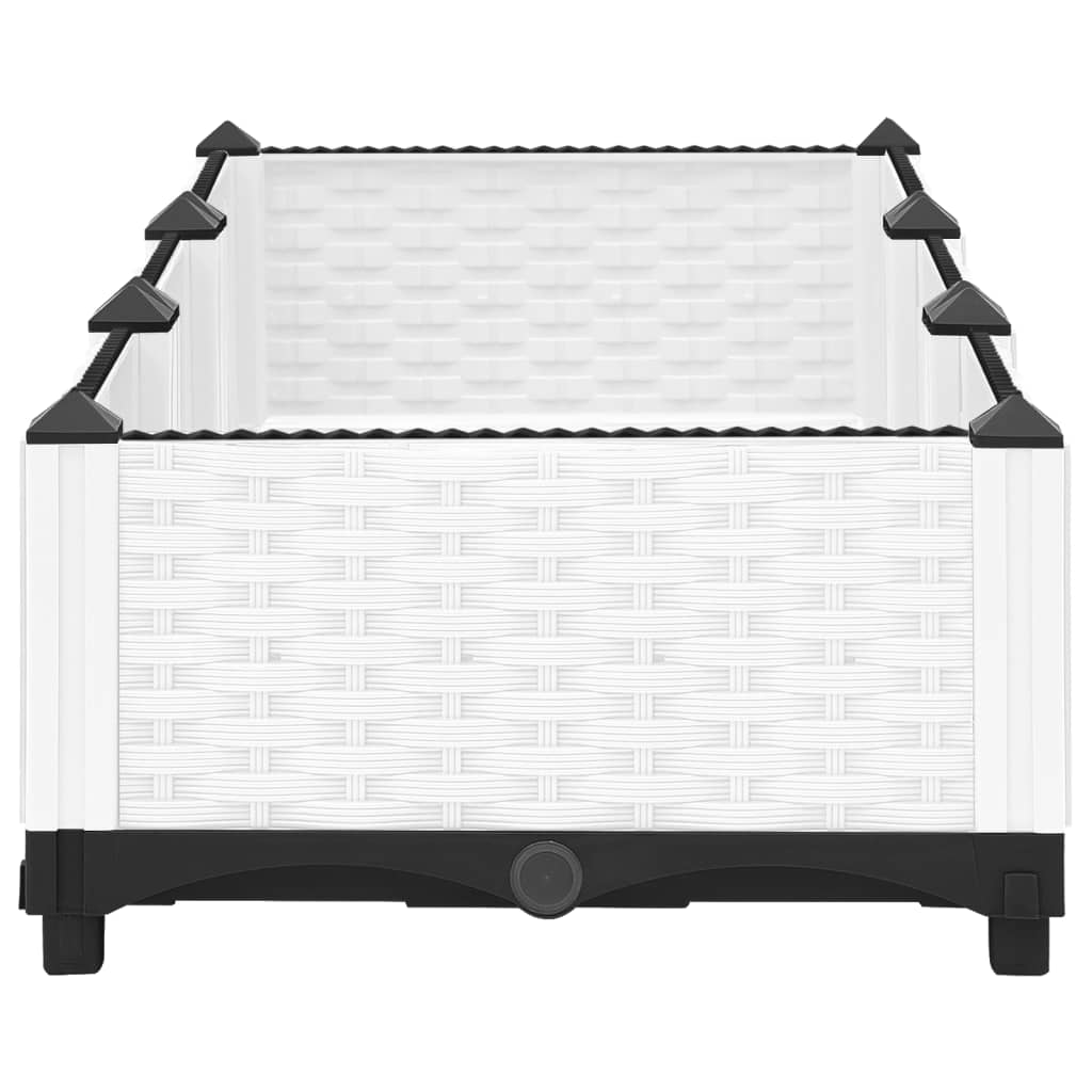 Raised Bed 120x40x23 cm Polypropylene
