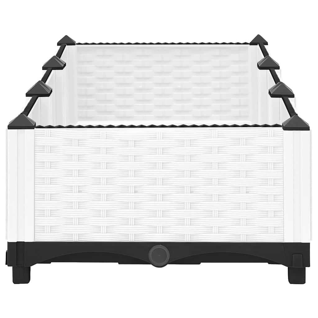 Raised Bed 120x40x23 cm Polypropylene