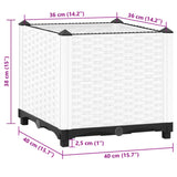 Raised Bed 40x40x38 cm Polypropylene