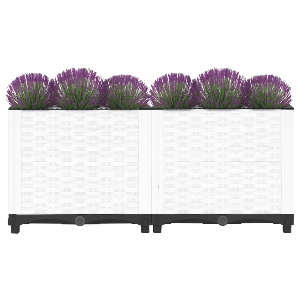 Raised Bed 80x40x38 cm Polypropylene