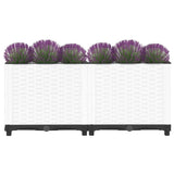 Raised Bed 80x40x38 cm Polypropylene