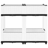 Raised Bed 80x40x71 cm Polypropylene
