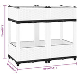 Raised Bed 80x40x71 cm Polypropylene