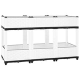 Raised Bed 120x40x71 cm Polypropylene