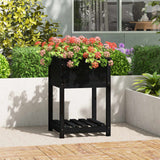 Planter with Shelf Black 54x54x81 cm Solid Wood Pine