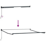 Awning Manual Anthracite 3 x 2.5 m Metal