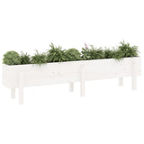 Garden Raised Bed White 160x30x38 cm Solid Wood Pine