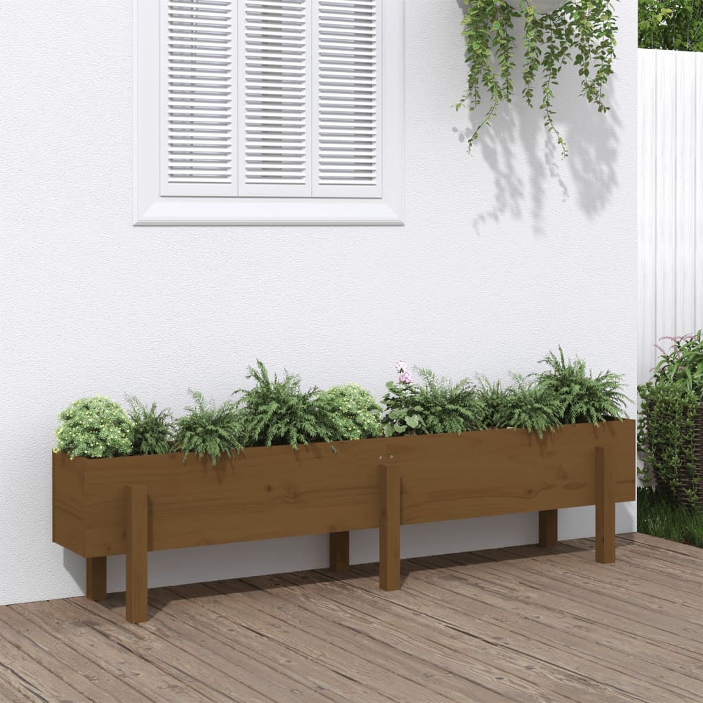 Garden Raised Bed Honey Brown 160x30x38 cm Solid Wood Pine