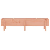 Garden Raised Bed 160x30x38 cm Solid Wood Douglas