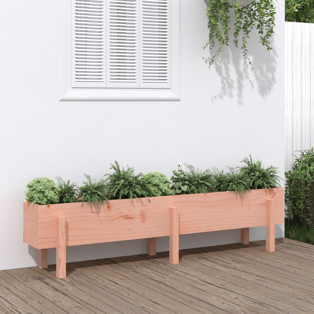 Garden Raised Bed 160x30x38 cm Solid Wood Douglas