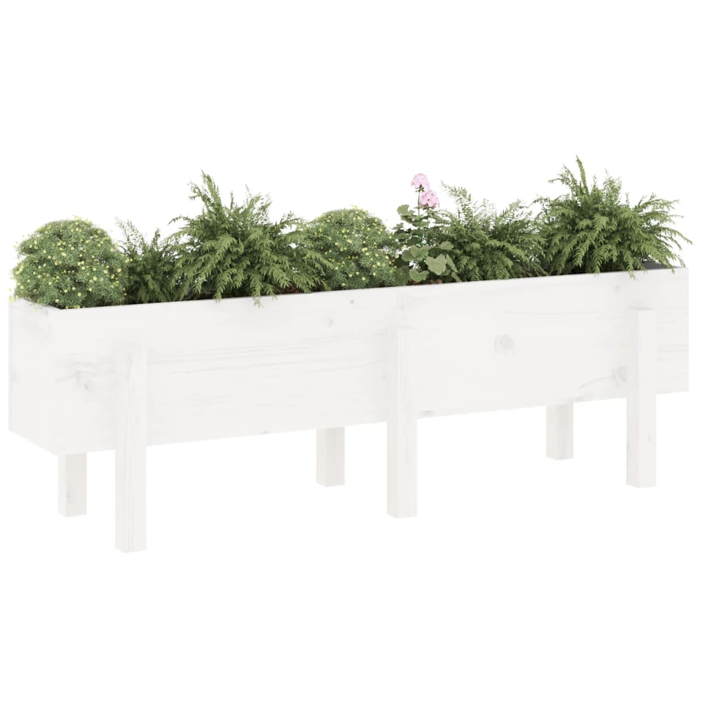 Garden Raised Bed White 121x30x38 cm Solid Wood Pine