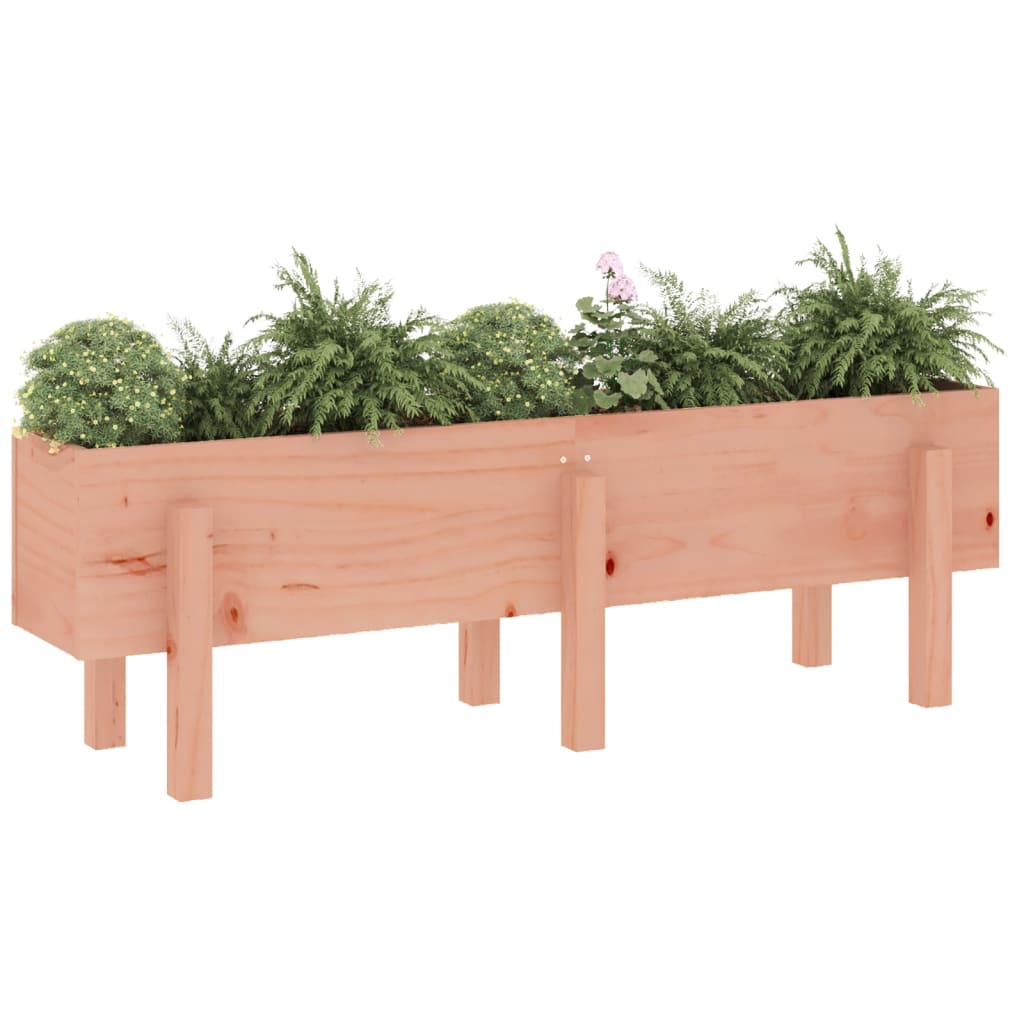 Garden Raised Bed 121x30x38 cm Solid Wood Douglas