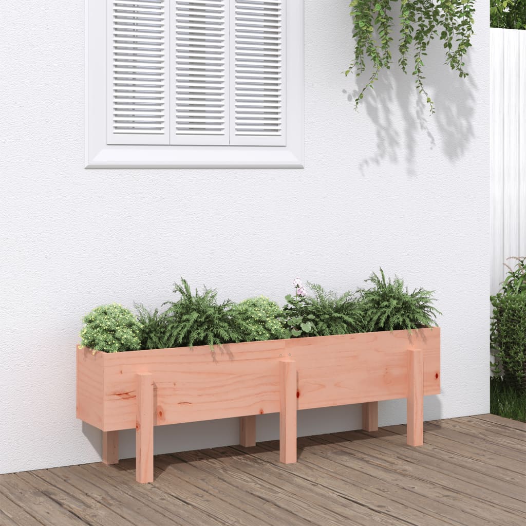 Garden Raised Bed 121x30x38 cm Solid Wood Douglas