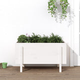 Garden Raised Bed White 101x50x57 cm Solid Wood Pine