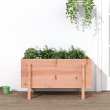 Garden Raised Bed 101x50x57 cm Solid Wood Douglas