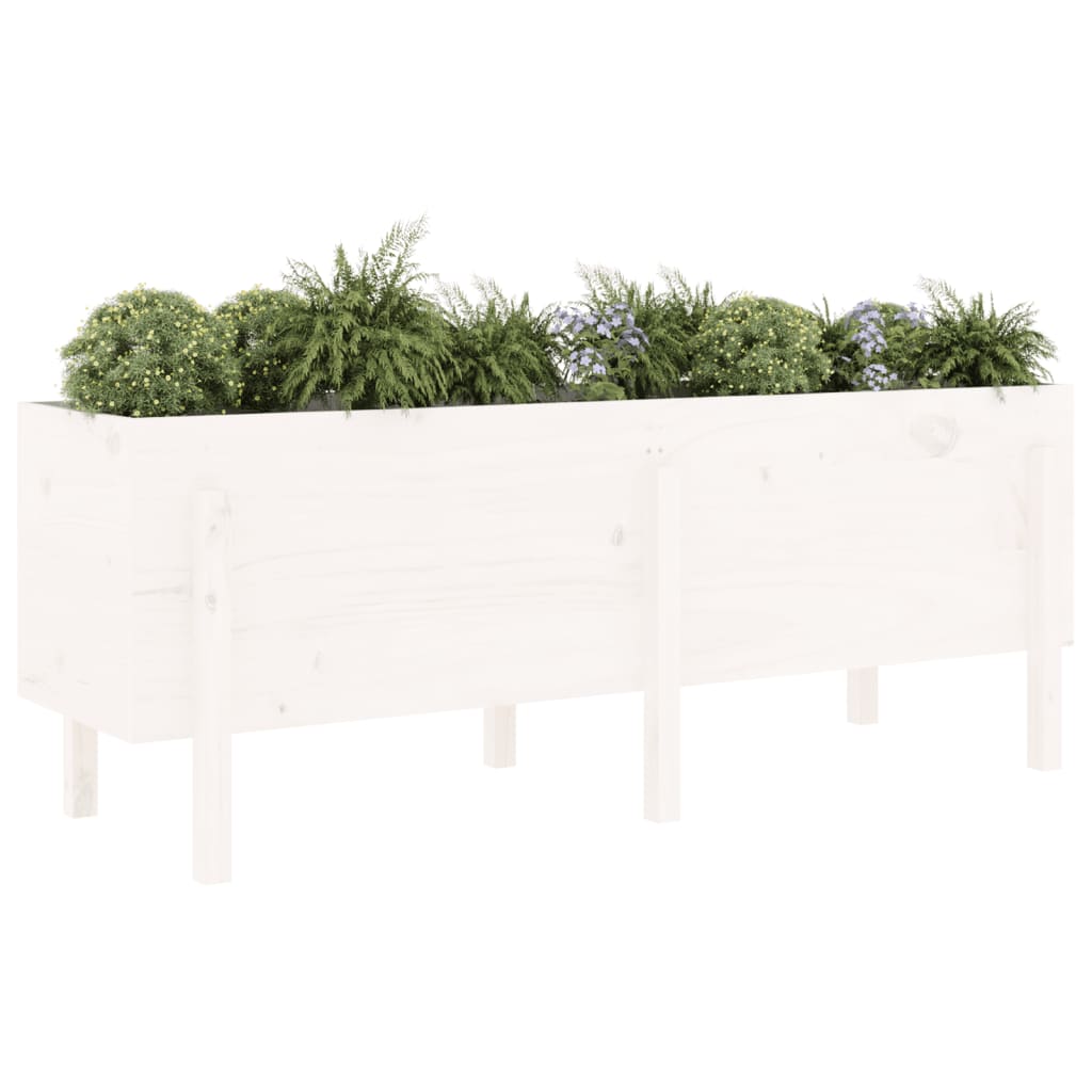 Garden Raised Bed White 160x50x57 cm Solid Wood Pine