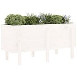 Garden Raised Bed White 121x50x57 cm Solid Wood Pine