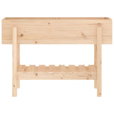 Garden Raised Bed 101x30x69 cm Solid Wood Pine