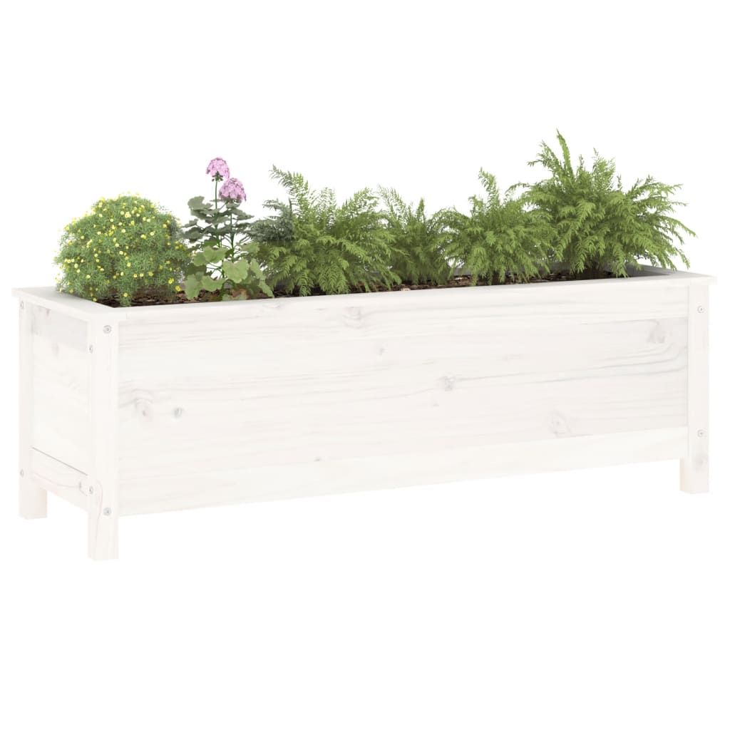 Garden Raised Bed White 119.5x40x39 cm Solid Wood Pine