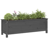 Garden Raised Bed Grey 119.5x40x39 cm Solid Wood Pine