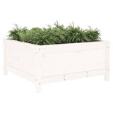 Garden Planter White 82.5x82.5x39 cm Solid Wood Pine