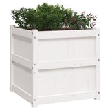 Garden Planter White 60x60x60 cm Solid Wood Pine