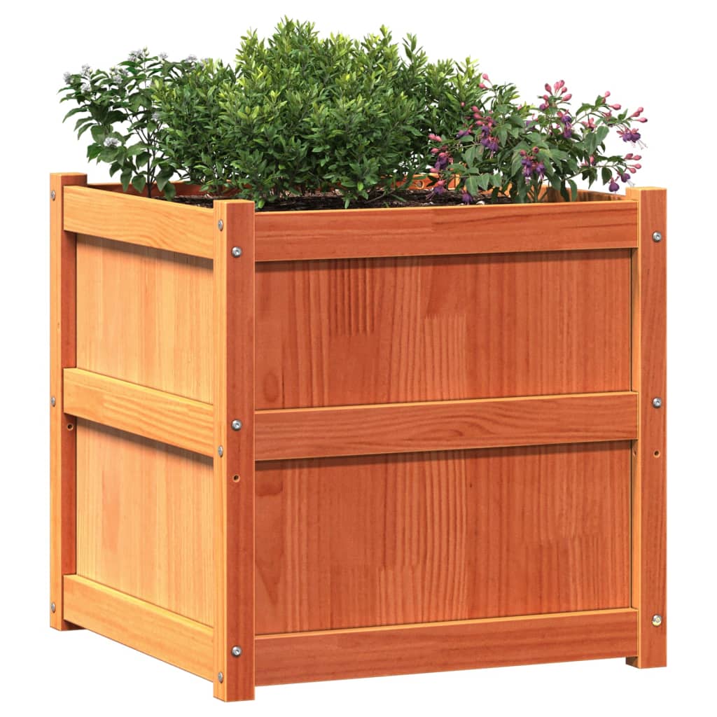 Garden Planter Wax Brown 60x60x60 cm Solid Wood Pine