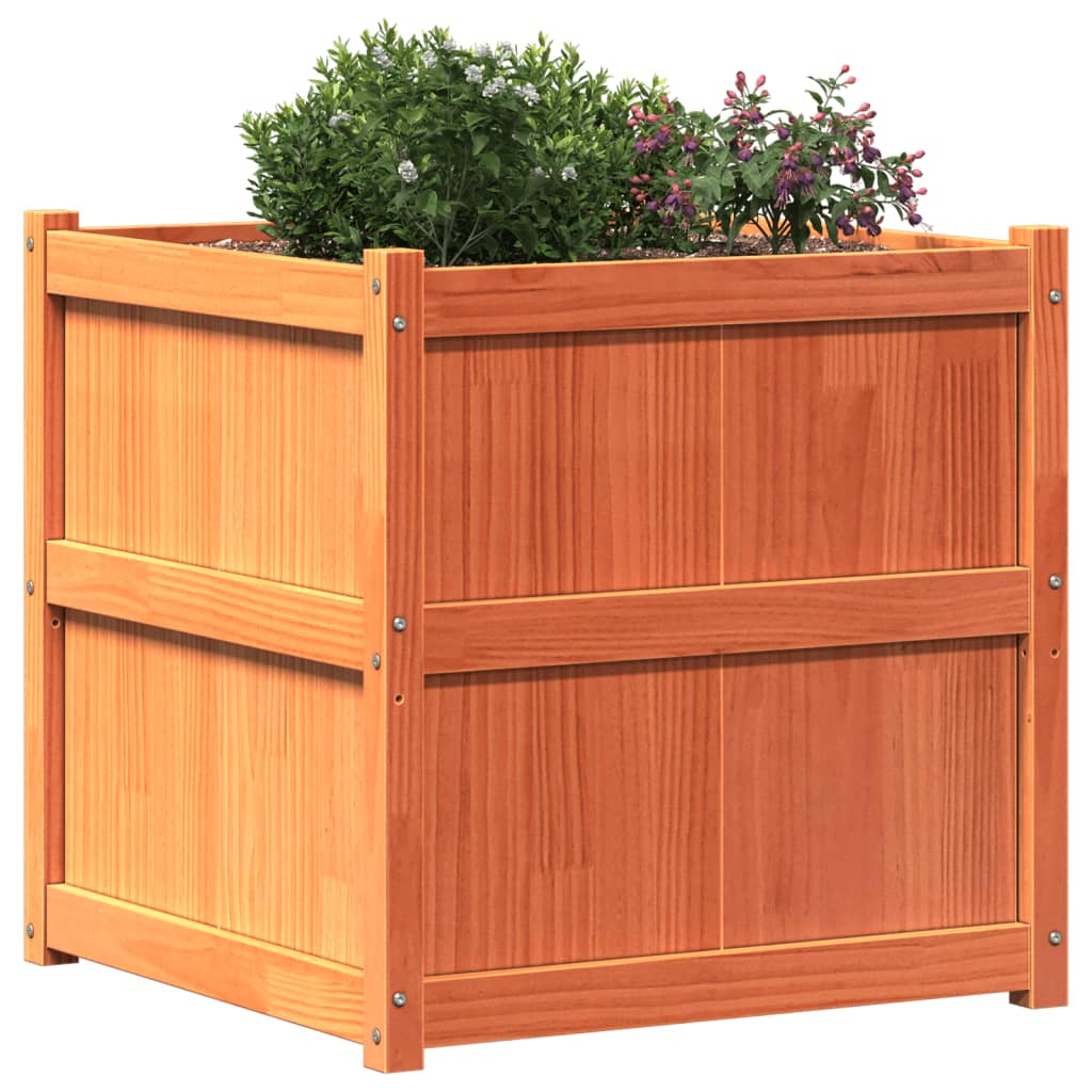 Garden Planter Wax Brown 70x70x70 cm Solid Wood Pine