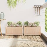 Garden Planters 2 pcs Solid Wood Pine