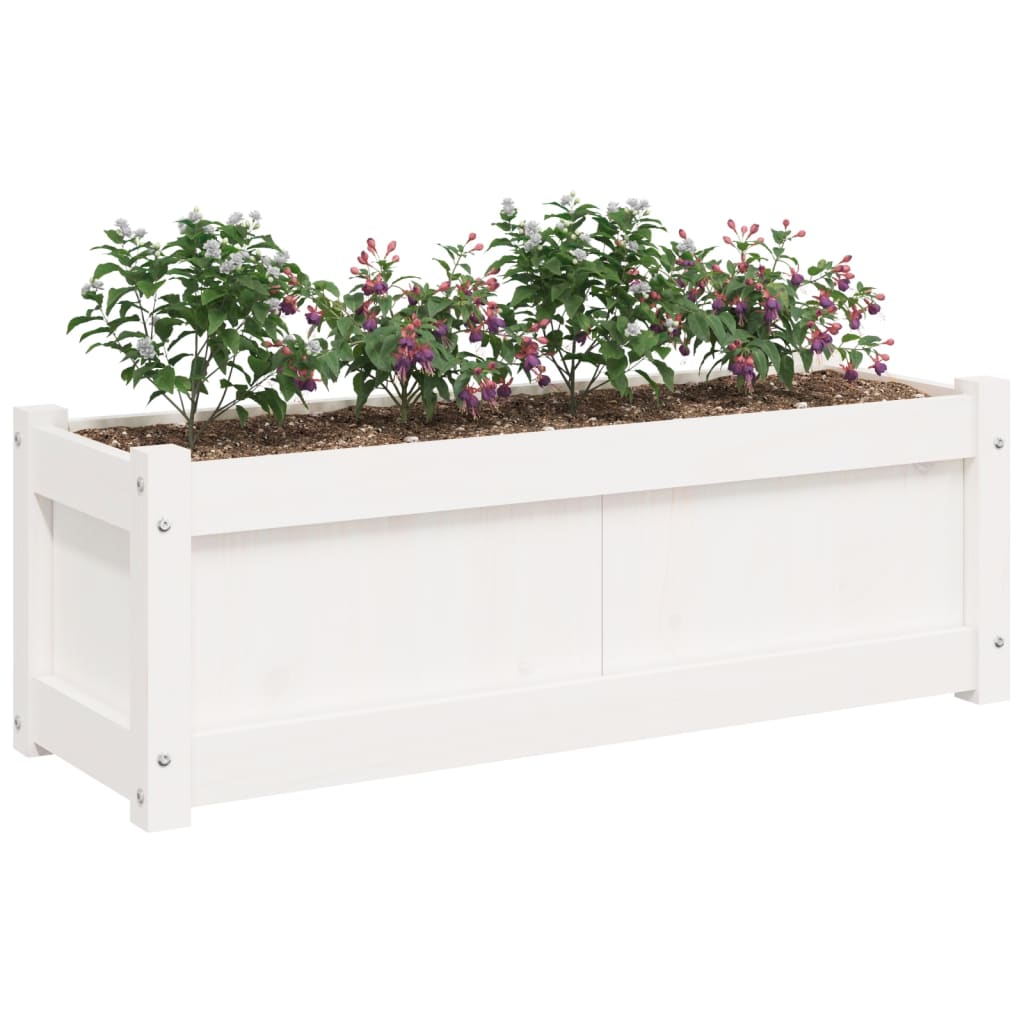 Garden Planters 2 pcs White Solid Wood Pine