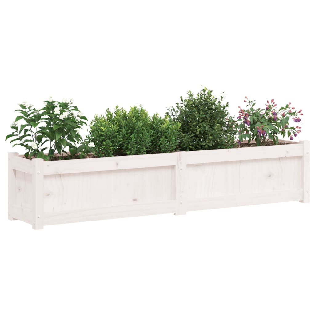 Garden Planters 2 pcs White Solid Wood Pine