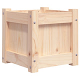 Garden Planters 2 pcs Solid Wood Pine