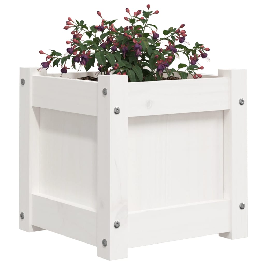 Garden Planter White 31x31x31 cm Solid Wood Pine