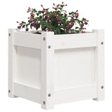 Garden Planter White 31x31x31 cm Solid Wood Pine