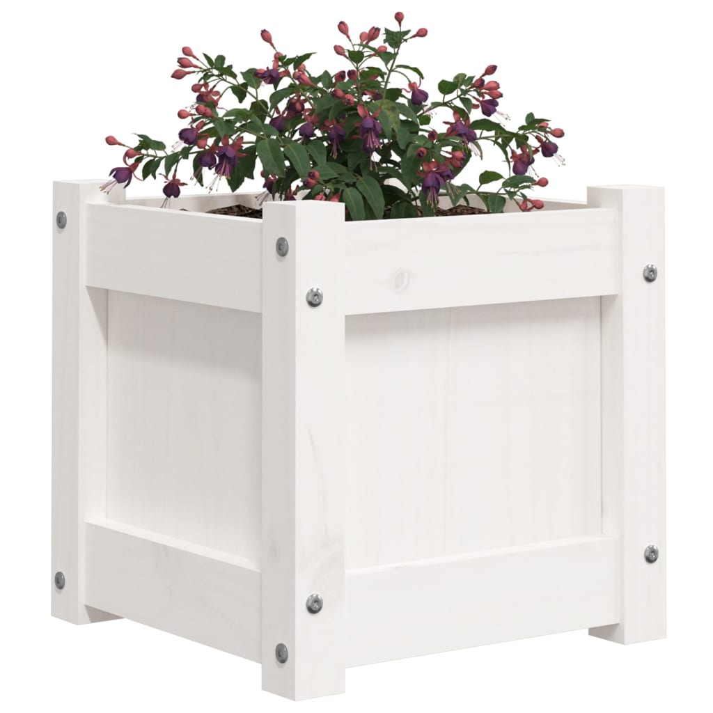 Garden Planters 2 pcs White Solid Wood Pine