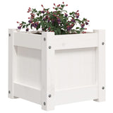 Garden Planters 2 pcs White Solid Wood Pine