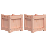 Garden Planters 2 pcs Solid Wood Douglas