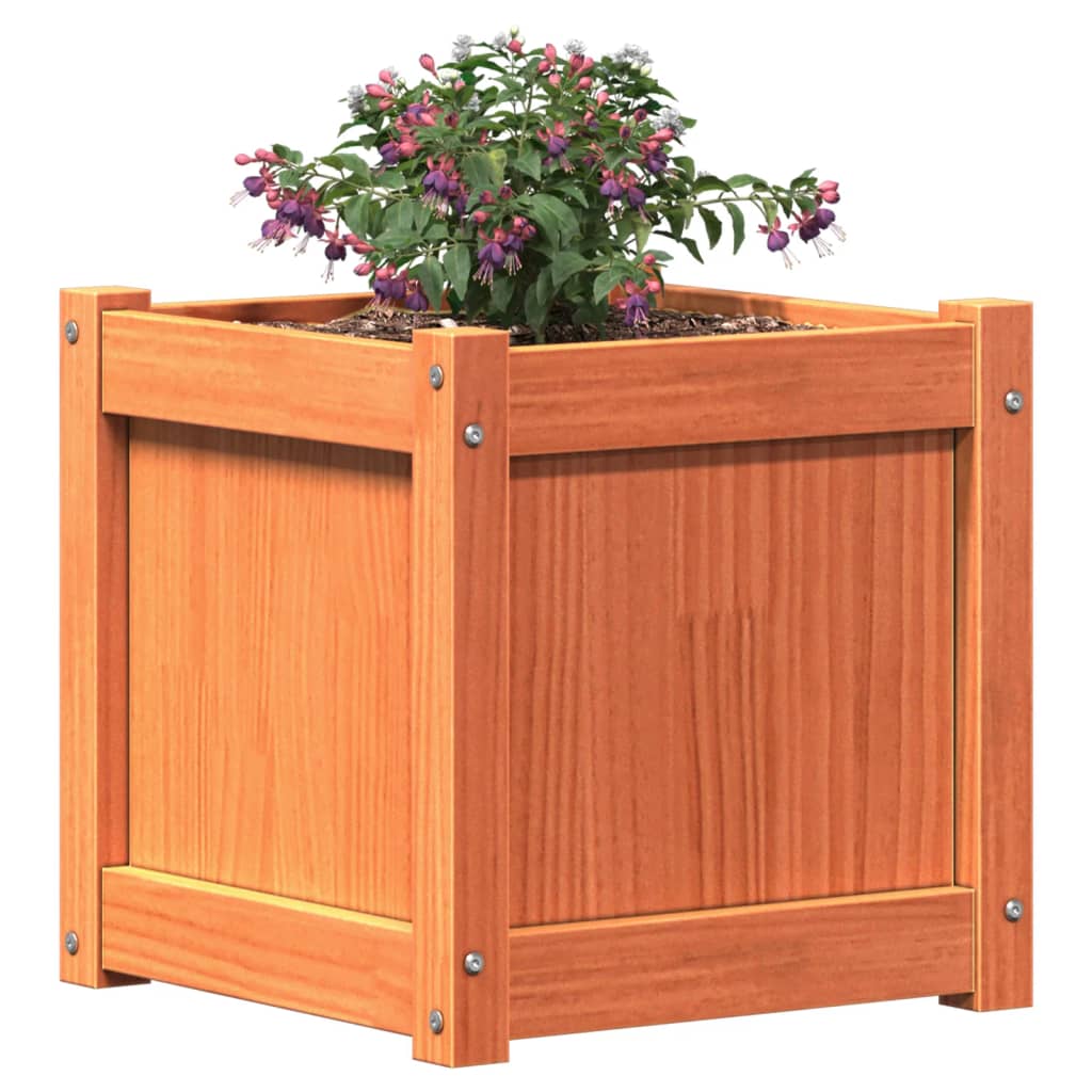 Garden Planter Wax Brown 40x40x40 cm Solid Wood Pine